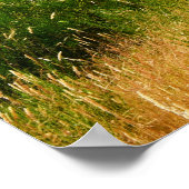 ポト実在ル – マデイラ ポスター (角)