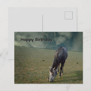 ポニーが放牧する牧場のロアン馬、誕生日ポストカード ポストカード