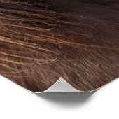 ポニーエクスモーア ポスター (角)