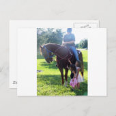 ポニーガールズ ポストカード (正面/裏面)