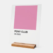 ポニークラブソングピンクカラー – 背澄ん景 アクリルサイン (傾斜)