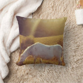 ポニーグレージング クッション (ブランケット)