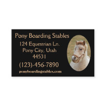 ポニーサンプル1