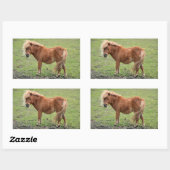 ポニーステッカー 長方形シール (シート)