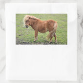 ポニーステッカー 長方形シール (バッグ)