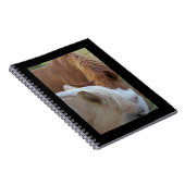 ポニーズノートブック ノートブック (右側)