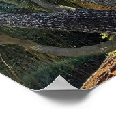 ポニーテイルパーム ポスター (角)