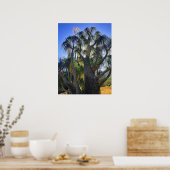 ポニーテイルパーム ポスター (キッチン)