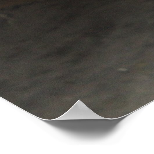 ポニーナズル ポスター (角)