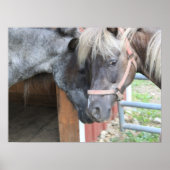 ポニーナズル ポスター (正面)