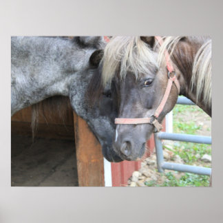 ポニーナズル ポスター