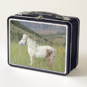 ポニーミニチュアウマペット メタルランチボックス (正面)
