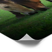 ポニーラブポスター ポスター (角)