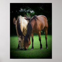 ポニーラブポスター ポスター