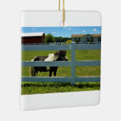 ポニー写真 セラミックオーナメント (右)