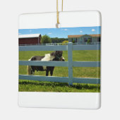 ポニー写真 セラミックオーナメント (左)