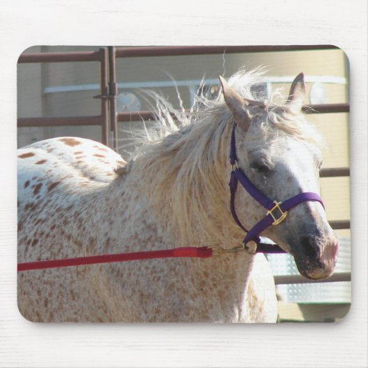 ポニー岬 マウスパッド (正面)