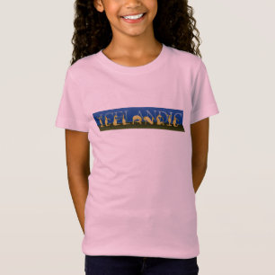 ポニー書のアイスランドのポニー Tシャツ