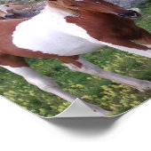 ポニー絵を描ポスタープリント ポスター (角)