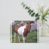 ポニー絵を描ポストカード ポストカード (スタンド正面)