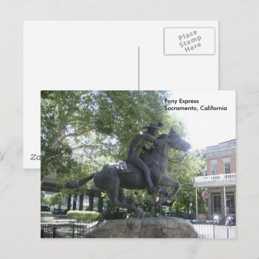 ポニー表現 ポストカード (正面/裏面)