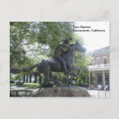 ポニー表現 ポストカード (正面)