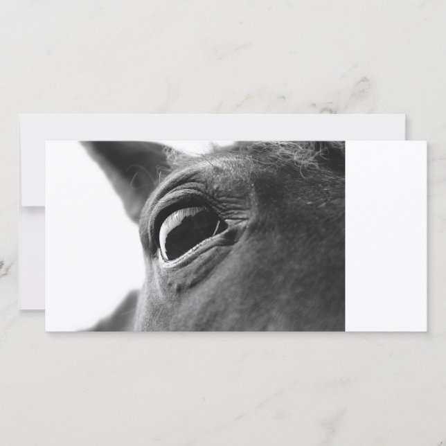 ポニー1の目 (正面)