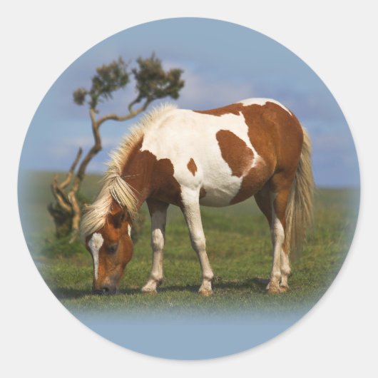 ポニー・アンド・ローン・ゴルスのステッカー ラウンドシール (正面)