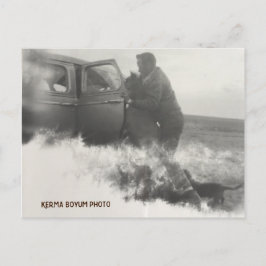 ポニー・イン・カー・ポストカード ポストカード