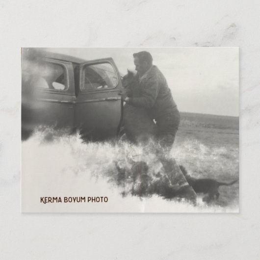 ポニー・イン・カー・ポストカード ポストカード (正面)