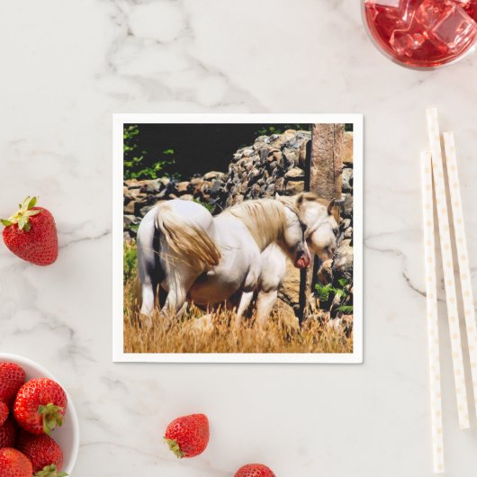 ポニー スタンダードカクテルナプキン (インサイチュ)