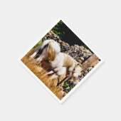 ポニー スタンダードカクテルナプキン (角)