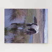 ポニー・ダートムーア国立公園の反映 ジグソーパズル (横)