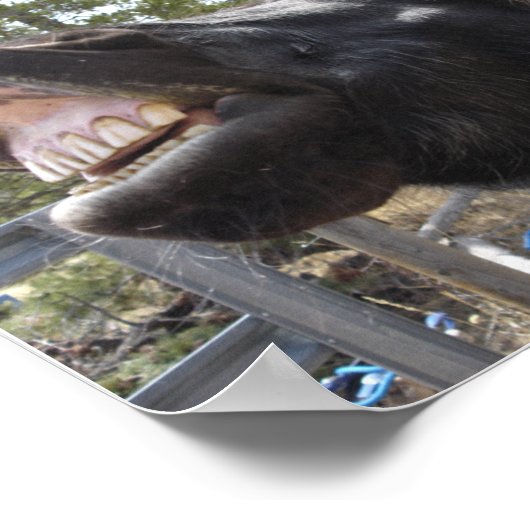 ポニー・トーク ポスター (角)