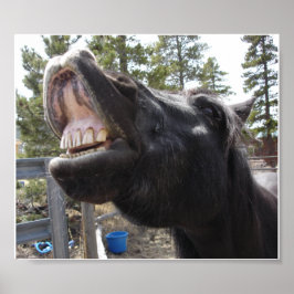 ポニー・トーク ポスター