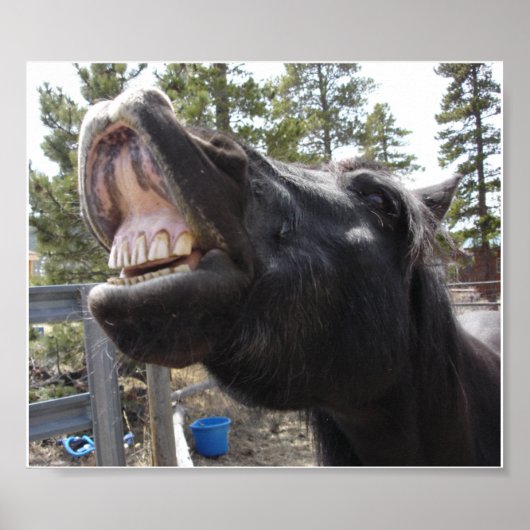 ポニー・トーク ポスター (正面)