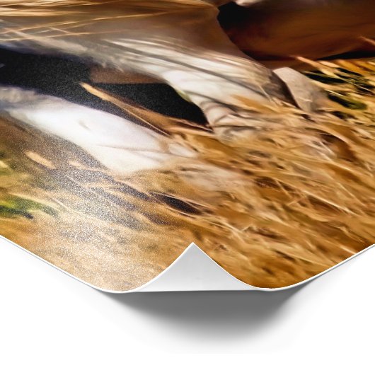 ポニー フォトプリント            (角)