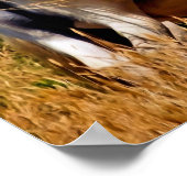 ポニー ポスター (角)