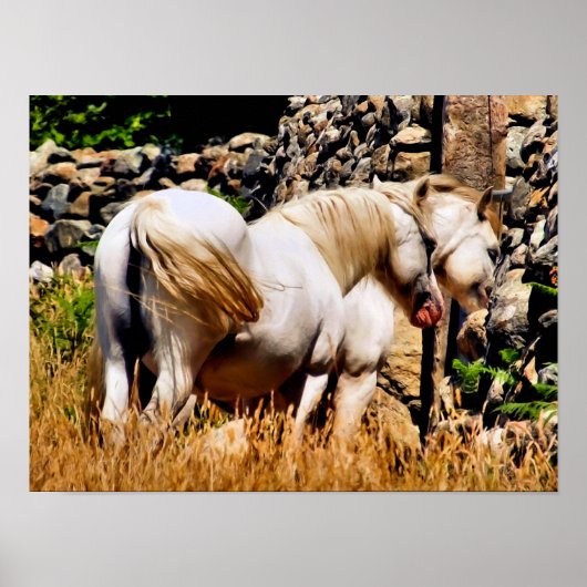 ポニー ポスター (正面)