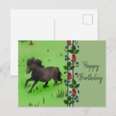 ポニー ポストカード (正面/裏面)