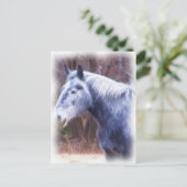 ポニー ポストカード (スタンド正面)