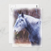 ポニー ポストカード (正面/裏面)