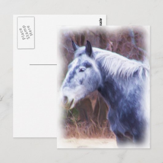 ポニー ポストカード (正面/裏面)