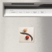 ポハ マグネット (インサイチュ (食洗機))