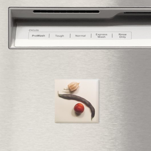 ポハ マグネット (インサイチュ (食洗機))