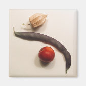 ポハ マグネット (正面)