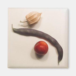 ポハ マグネット