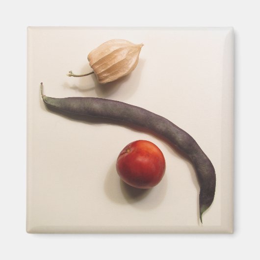 ポハ マグネット (正面)