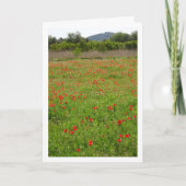 ポピズインフィールドポートレート カード (正面)