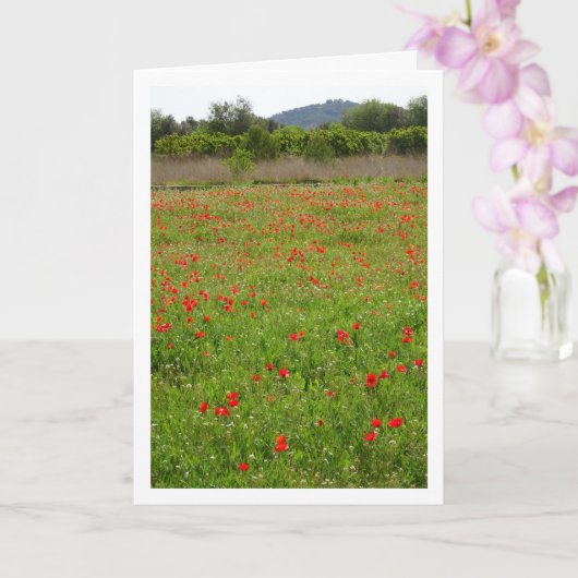 ポピズインフィールドポートレート カード (蘭)